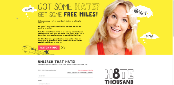 Spirit Airlines Hate Campaign