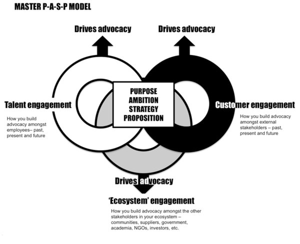 Purpose Ambition Strategy and Proposition Model