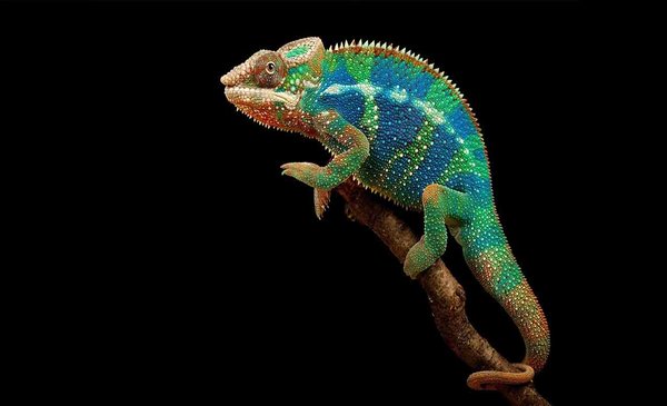 Building Winning Brands – 2 Of 16