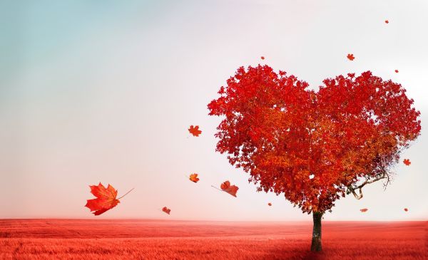 Five Ideas To Win In The Attraction Economy