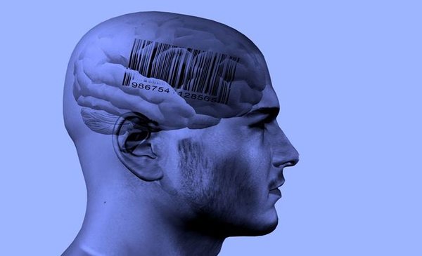 The Law Of Perception