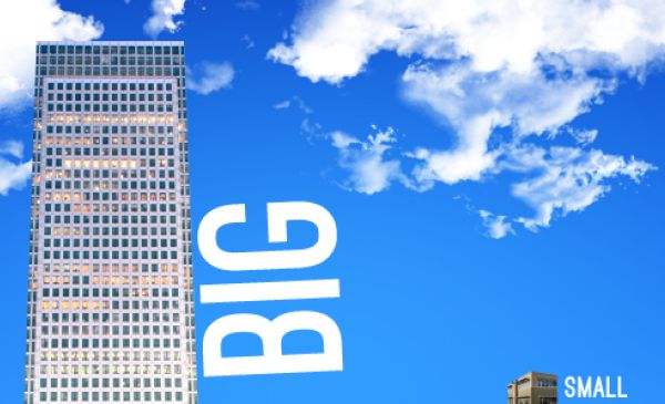 Brand Management: Organization Age & Size Impact