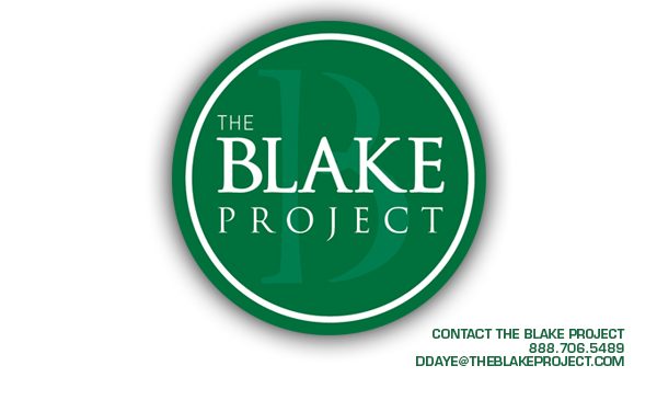 Brand Consultant Search