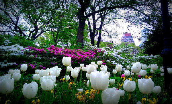 Of Memory And Marketplace Experiences