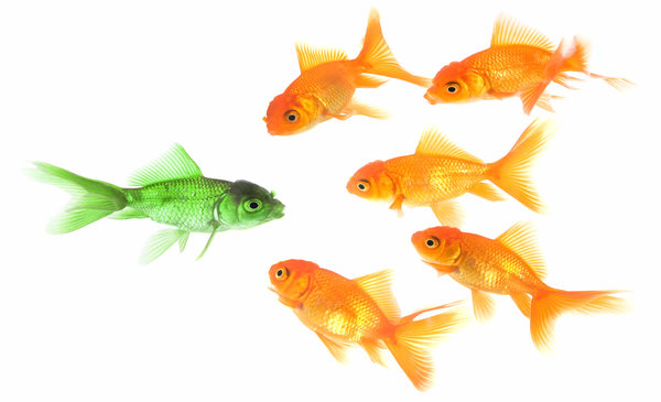The Unique Selling Proposition Defined