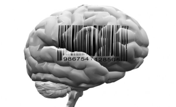 Differentiation Takes Place In The Mind