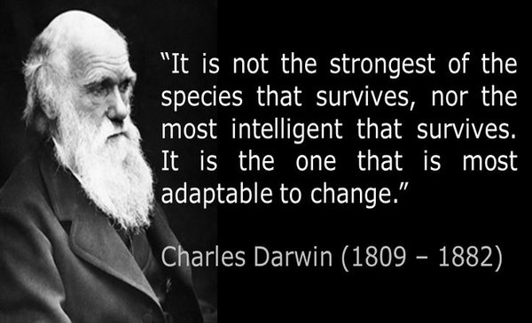 Darwin’s Theories And Marketing