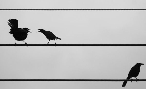 Marketing Is Changing, Are You Ready?