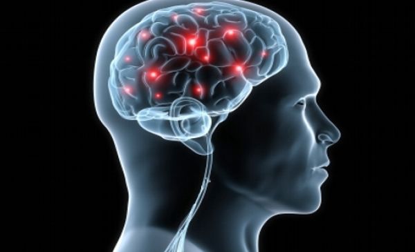 A Marketer’s Guide To Scientific Research Techniques