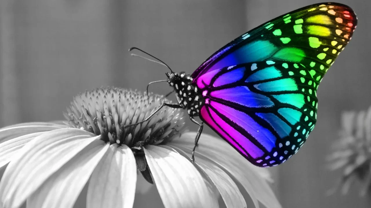 Brand Transformation And Fear