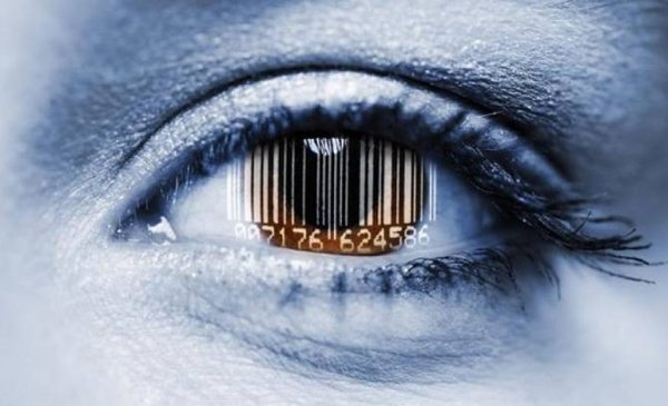 Brands Live In The Mind