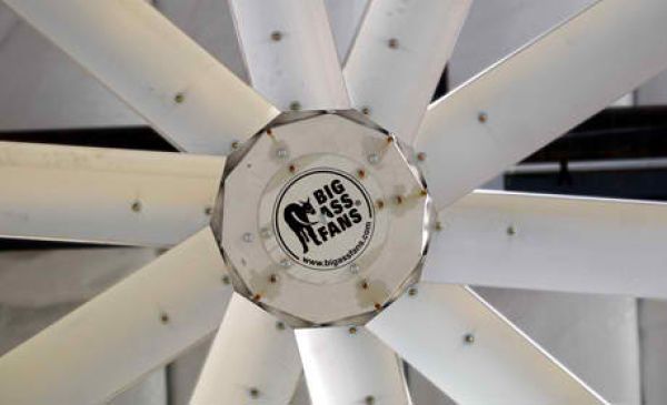 Irreverent Brand Naming