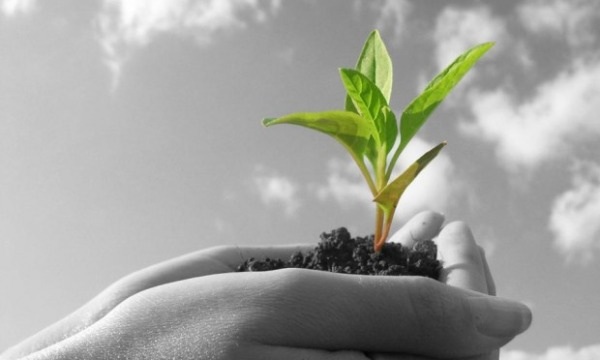 Rethinking Brand Growth