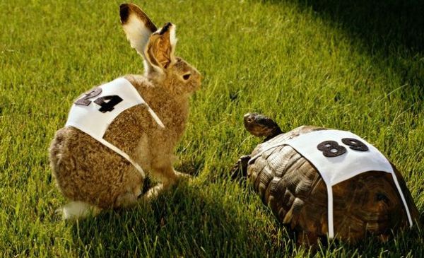 Strategically Pacing Your Brand For Change