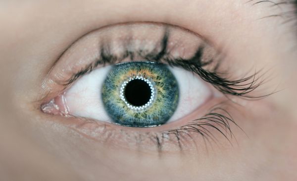 Developing An Agile Brand Architecture