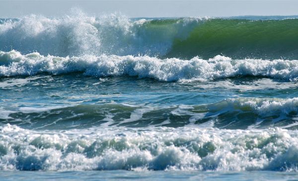 The Changing Tides Of Brand Economics