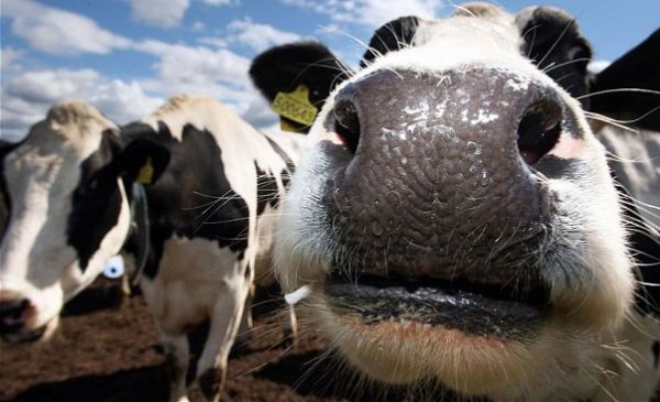 Taking A Brand Beyond Commodity Status