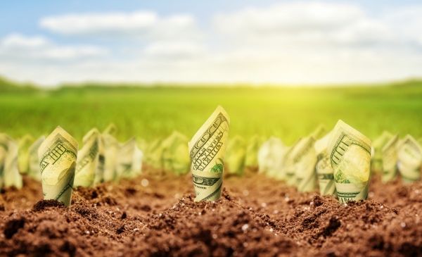 When Startups Should Invest In Branding