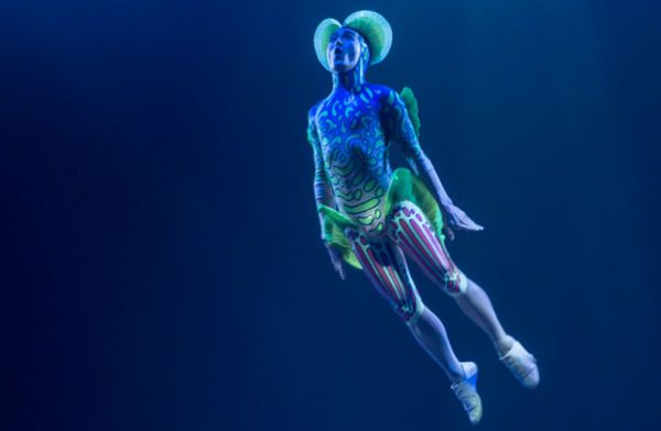 Creating Category Of One Brands