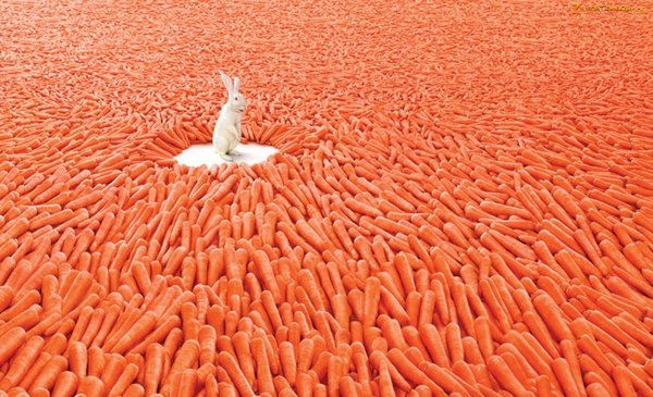 Brand Marketing In The Age Of Abundance