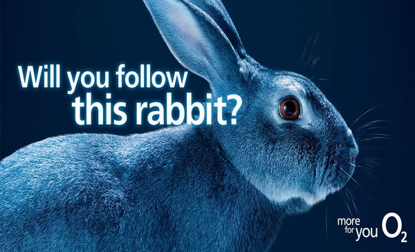 Brands Must Compete On What Matters Most