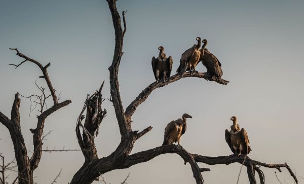 Why Brand Innovation Incubators Fail