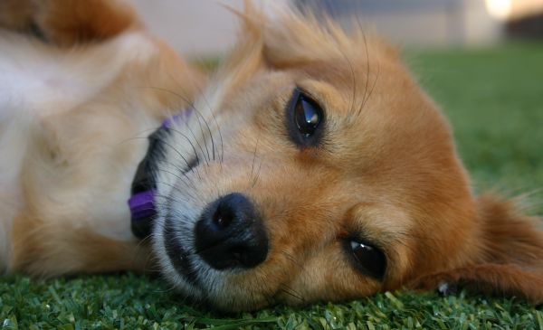 Brands Are A Mechanism Of Accountability