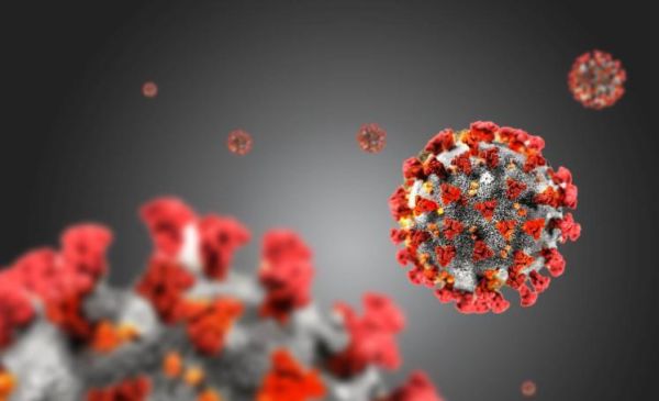 Brand Leadership In Times Of Covid-19