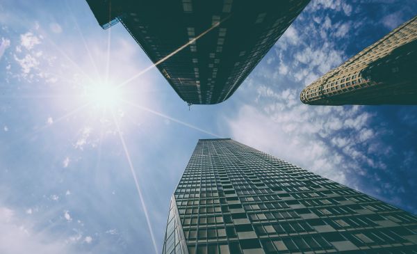 Questioning The Business Case For Purpose