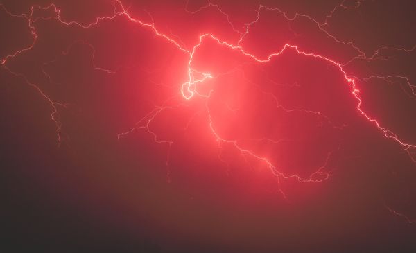 Why Disruptions Favor Emerging Trends & Brands