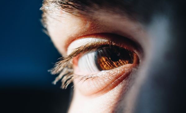 6 Factors Behind Lasting Behavior Change