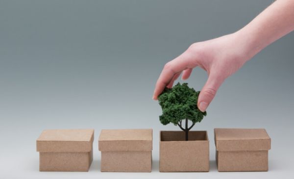 How Packaging Shapes The Future Of Brands