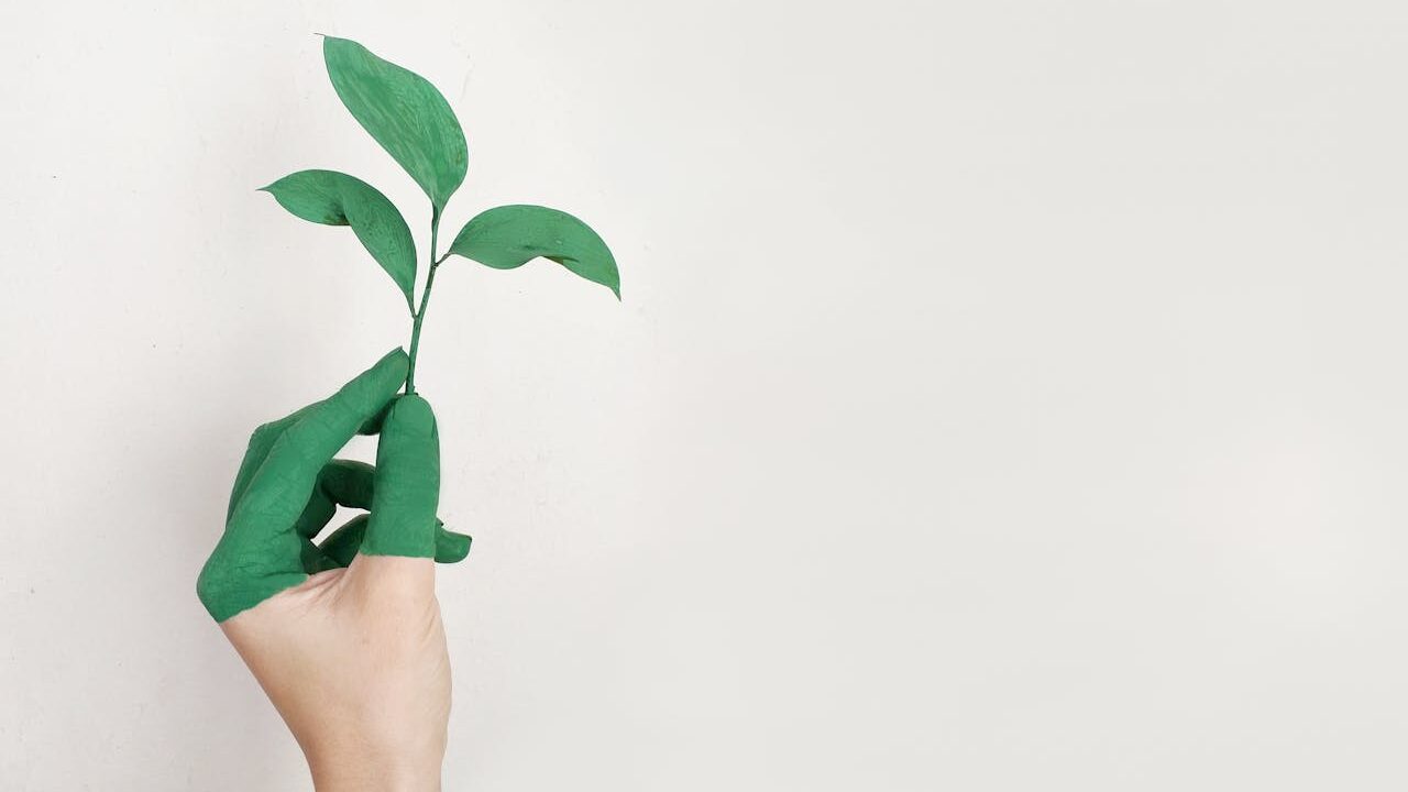 Marketers And The Value-Action Gap Myth