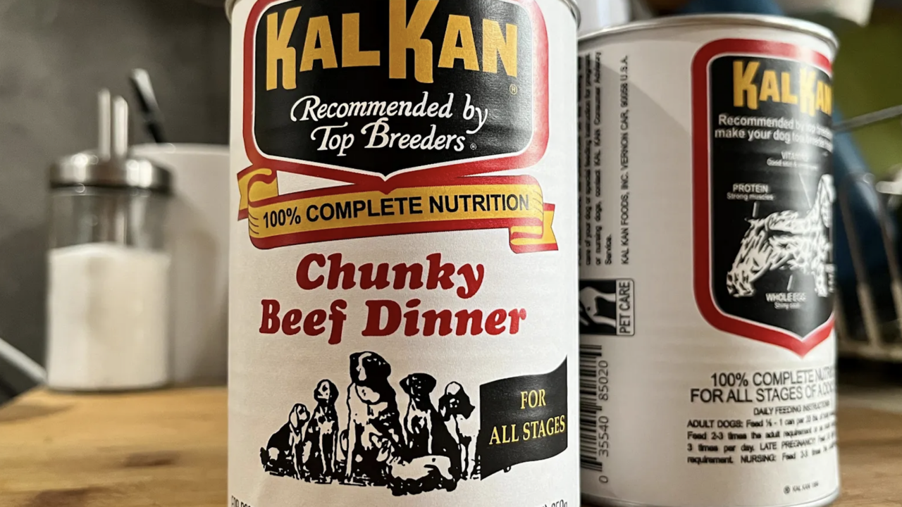 How Brands Gain True, Actionable Insights