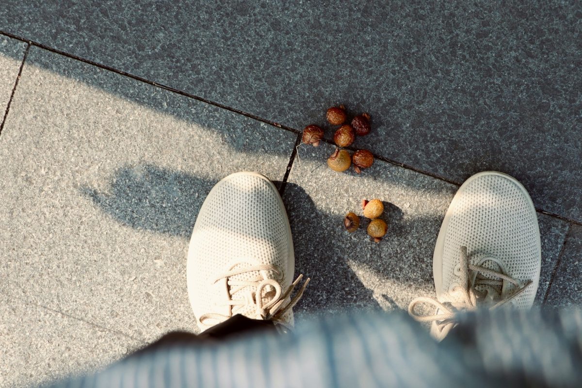 How Brand Mismanagement Brought Allbirds Back To Earth