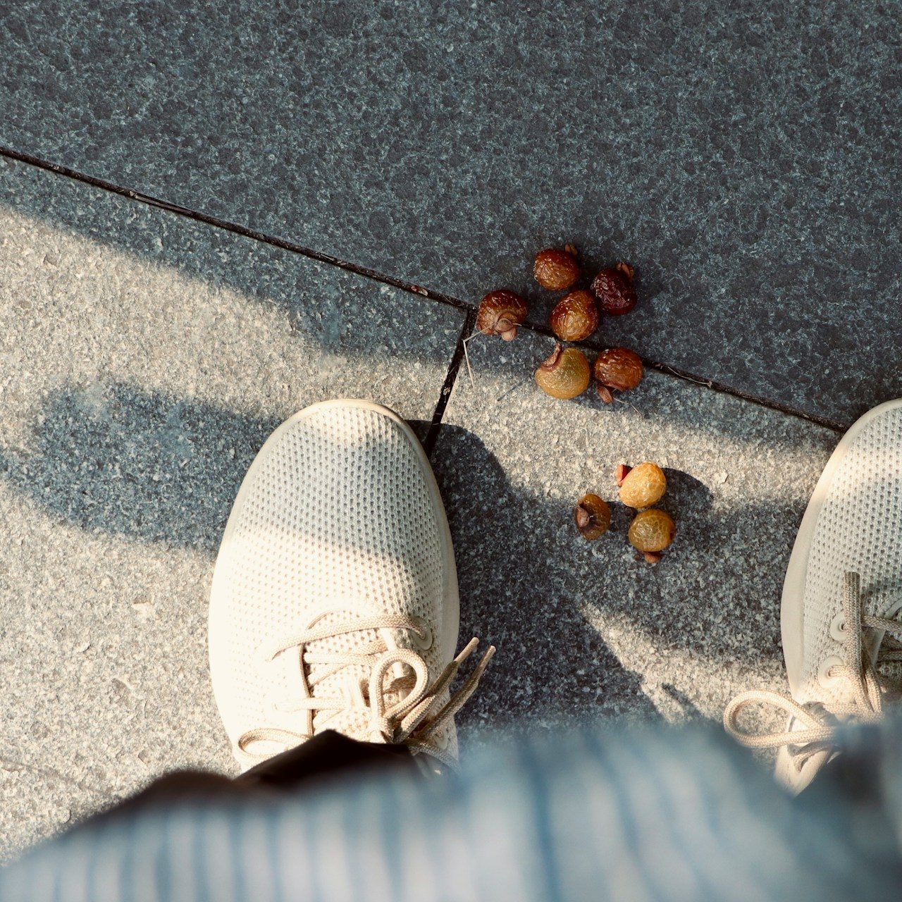 How Brand Mismanagement Brought Allbirds Back To Earth