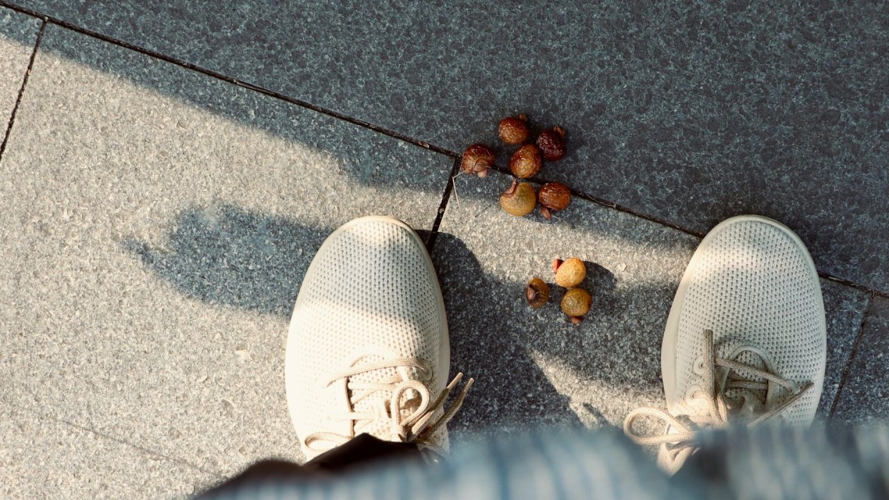 How Brand Mismanagement Brought Allbirds Back To Earth